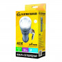 Ручной светодиодный фонарь Elektrostandard Agent аккумуляторный 153х66 300 лм 4690389049217